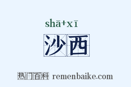 沙西是什么意思的图片